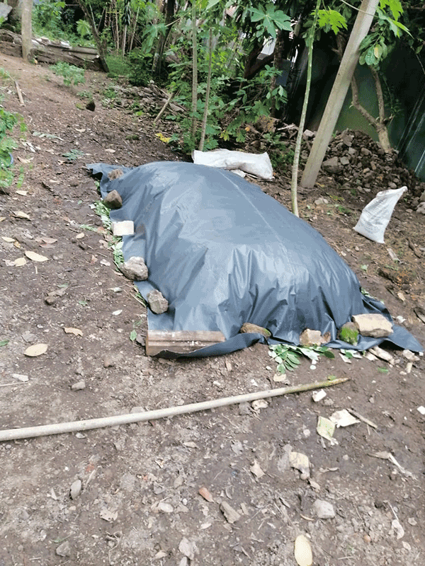 1AF 7