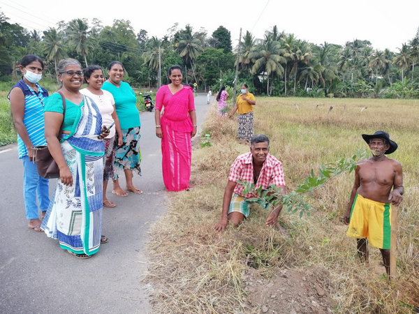 Image00003GreenColorAsswadduma 