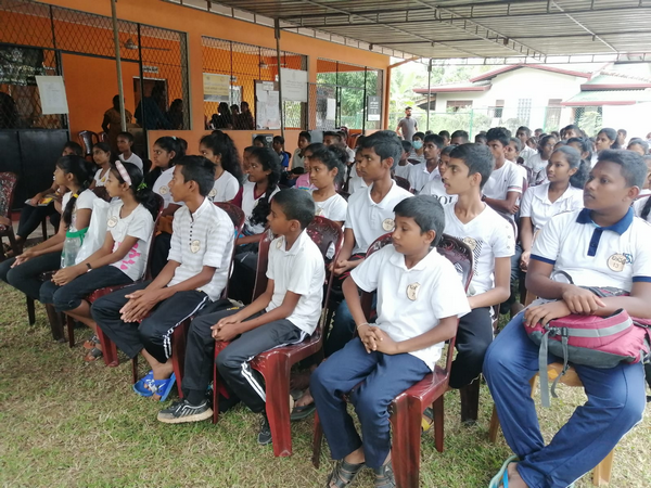 training workshop 4