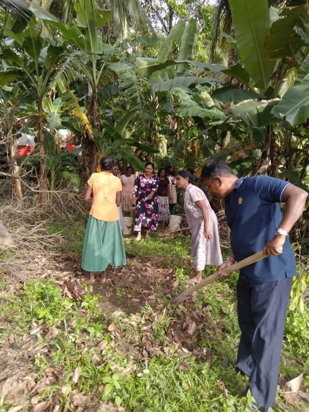 Compost Fertilizer Production 