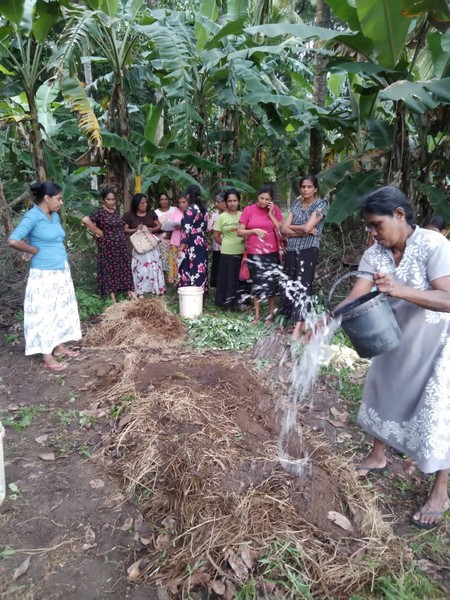 Compost Fertilizer Production 4