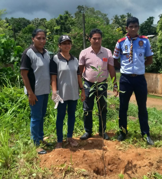 TreePlantingProgram20230923 5