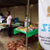 SEDMiniFair