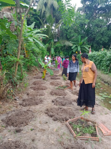 Samurdhi National Cultivation Operation / Homagama- Habarakada South (2022-07-07)