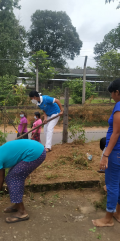Samurdhi National Cultivation Operation / Homagama (2022-07-07)