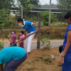 Samurdhi National Cultivation Operation / Homagama (2022-07-07)