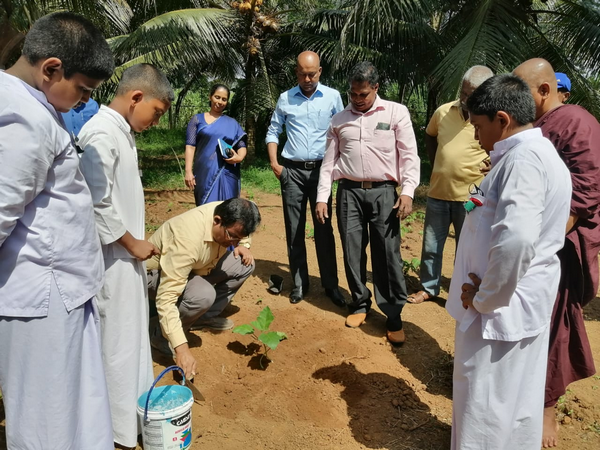 "Aharin Sapiri Kolomthotak" Cultivation War Monitoring Program / Homagama (2022-07-19)