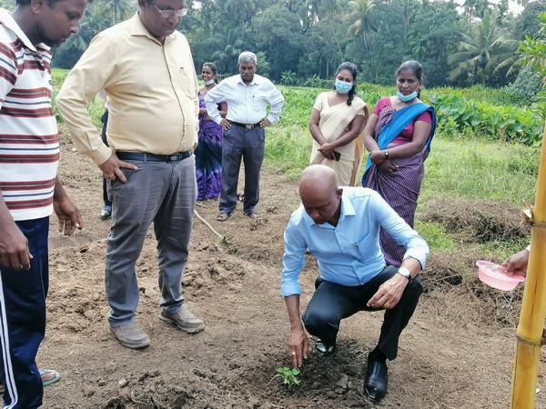 "Aharin Sapiri Kolomthotak" Cultivation War Monitoring Program / Homagama (2022-07-19)