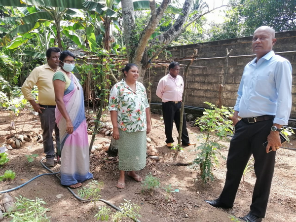 "Aharin Sapiri Kolomthotak" Cultivation War Monitoring Program / Homagama (2022-07-19)