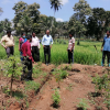 "Aharin Sapiri Kolomthotak" Cultivation War Monitoring Program / Homagama (2022-07-19)