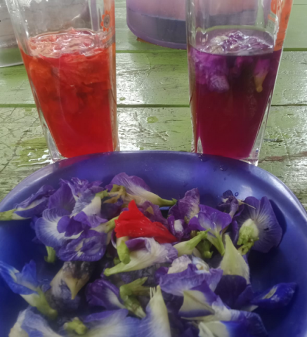 A "local food and drink promotion" program at Homagama Mavatgama...
