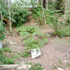 Homagama Diyagama East "Savimat" Children's Social Children's Home Inspection