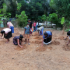 Samurdhi National Cultivation Operation / Homagama (2022-07-06)