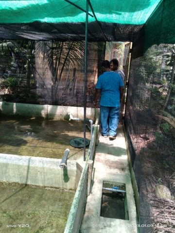 A dengue control program in Wataraka South village (2023-01-07)
