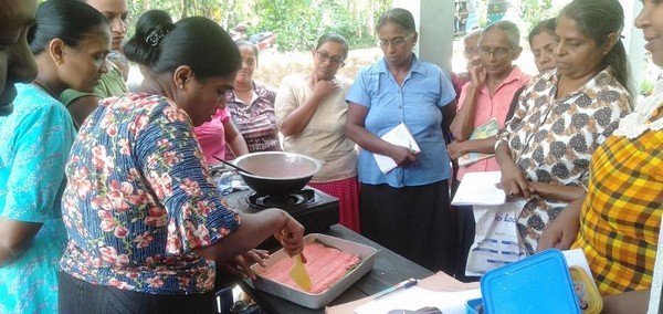 A helping hand to Meegasmulla women's economy (2023-08-26)