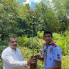 A tree planting program on both sides of the Homagama-Katuwana bypass road (2023-09-23)