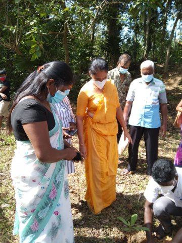 ඔසු උයන - මාගම්මන