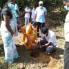 ඔසු උයන - මාගම්මන